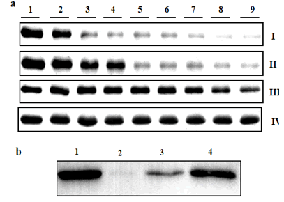 Biochemistry-Molecular-Biology-Journal-Direct