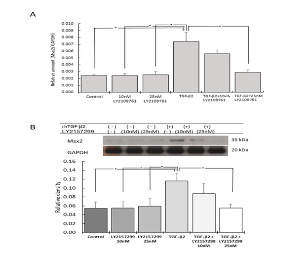 Biochemistry-Molecular-Biology-Journal-Gene