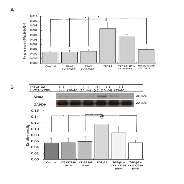 Biochemistry-Molecular-Biology-Journal-Inhibition