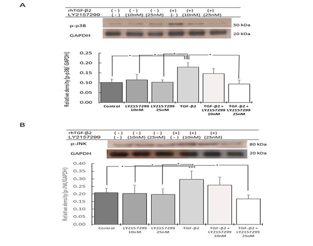 Biochemistry-Molecular-Biology-Journal-Phosphorylation