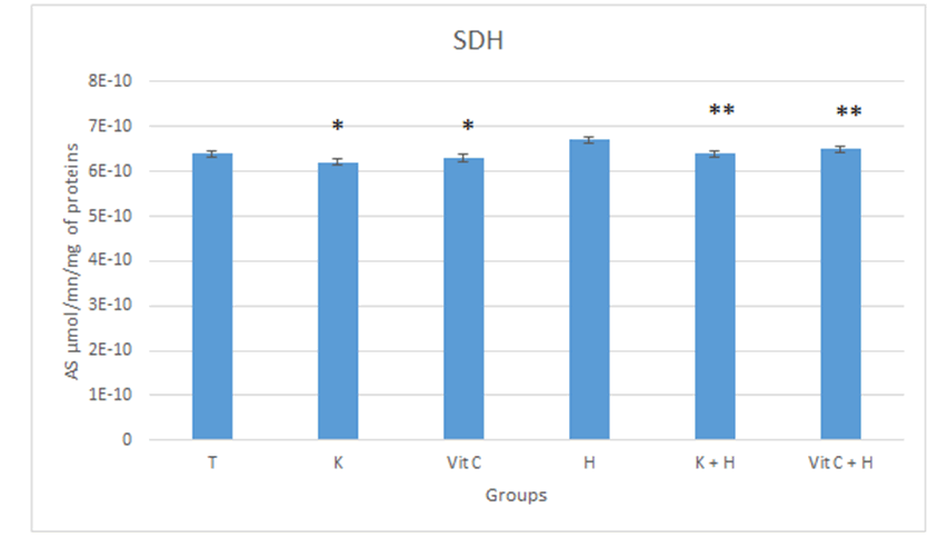 IPBMBJ-22-SDH