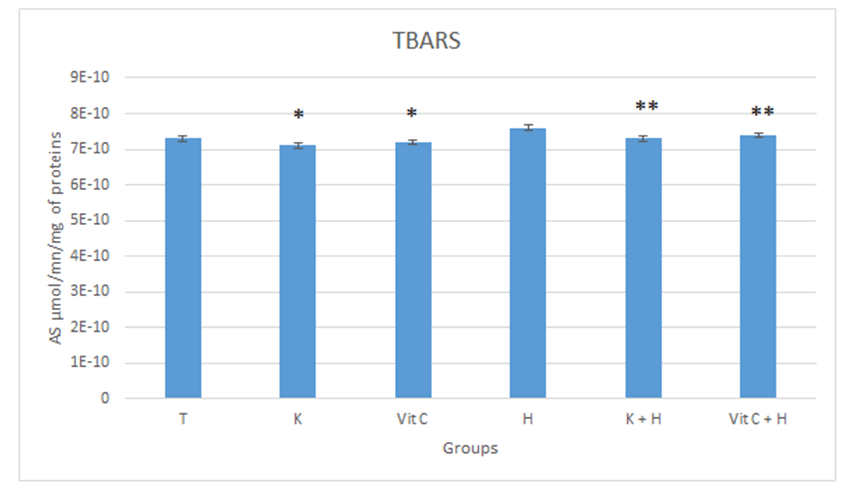 IPBMBJ-22-nsaid