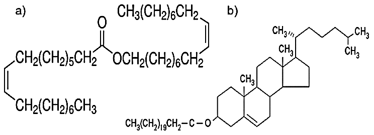 IPBMBJ-Structure