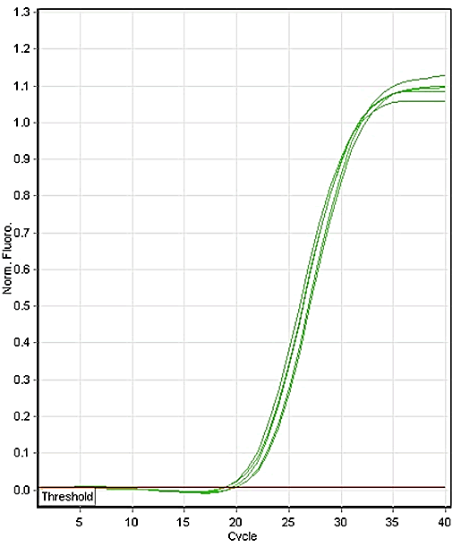 IPBMBJ-curve