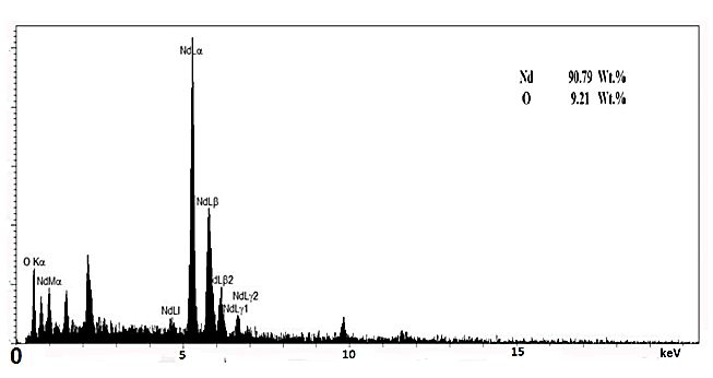 IPNNR-EDX