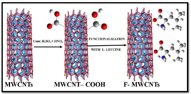 IPNNR-Schematic