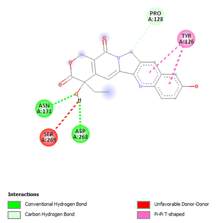 IPRJO-Interaction