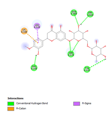 IPRJO-hesperidin