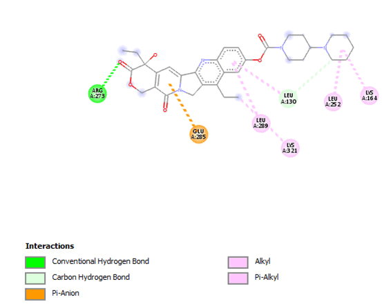 IPRJO-irinotecan