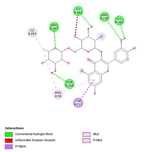 IPRJO-quercetin