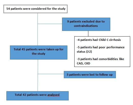 Journal-Clinical-Gastroenterology-Hepatology-Consort