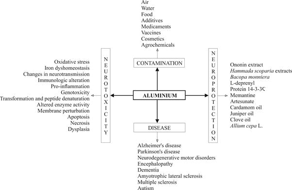 Journal-Heavy-Metal-Toxicity-Diseases-Schematic