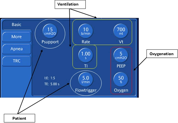 Journal-Intensive-Critical-Care-Practicality