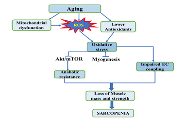 Biochemistry-Molecular-Biology-Journal-Diagram-Illustrating