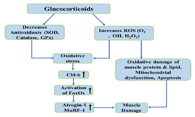 Biochemistry-Molecular-Biology-Journal-Diagram-Illustrating-ROS