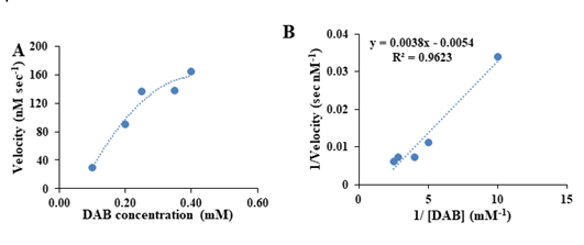 Biochemistry-Molecular-Biology-Journal-Kinetic-Performances