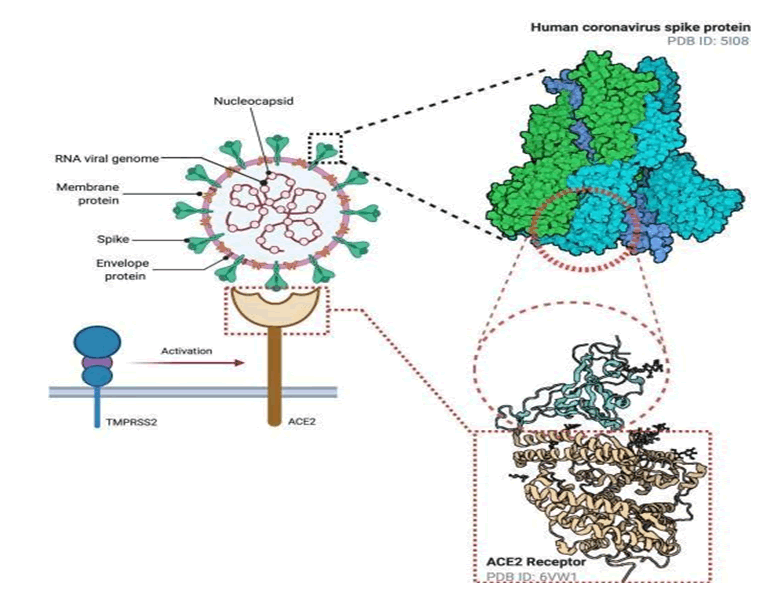 IPAAD-mechanism