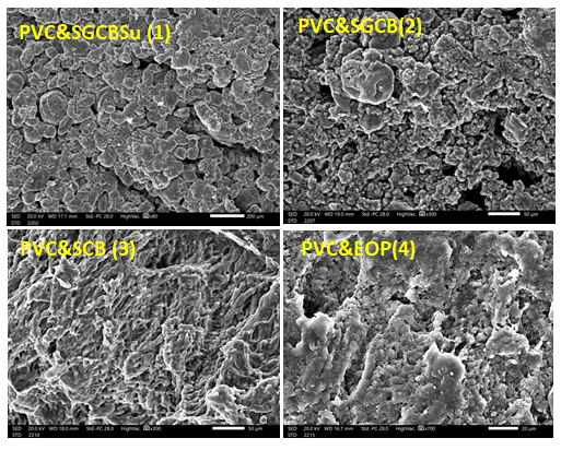 IPBMBJ-SEM