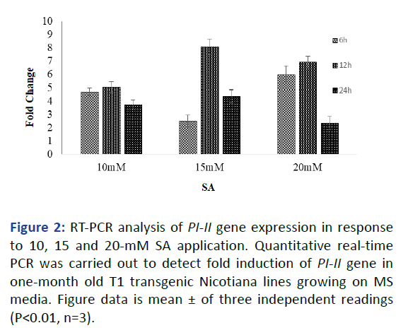 IPBMBJ-analysis