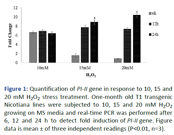 IPBMBJ-gene