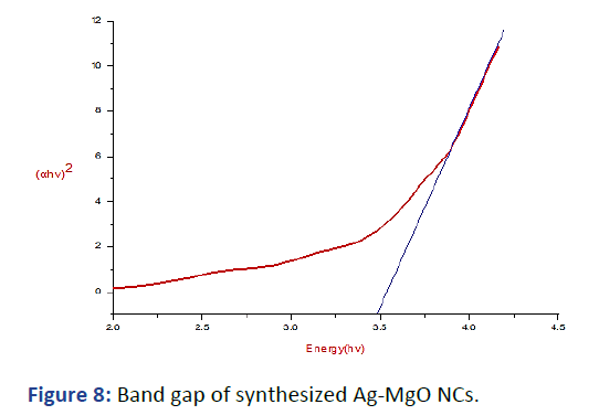 IPNNR-Band