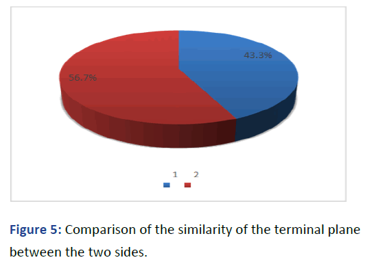 IPPDPD-terminal