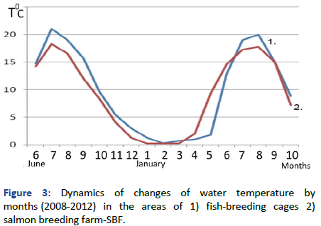 Veterinary-Surgery-Dynamics