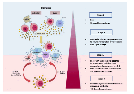 health-cytokine