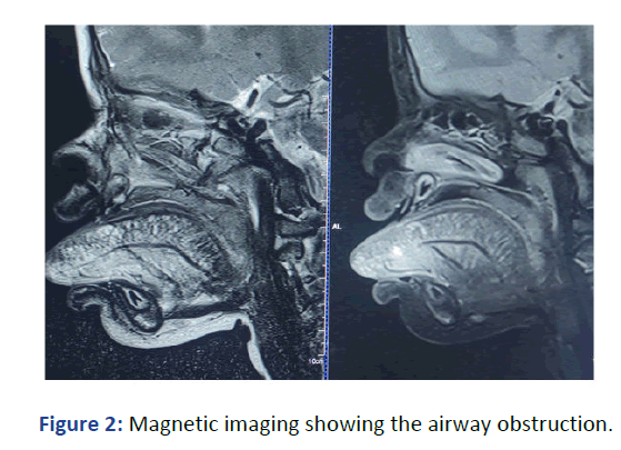 ipjicc-imaging