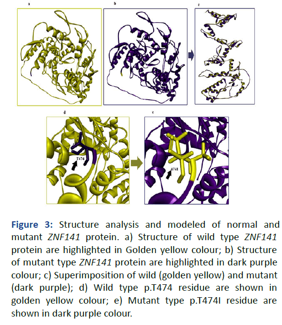 rgp-Structure