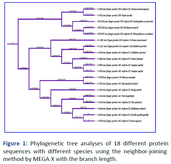 rgp-tree