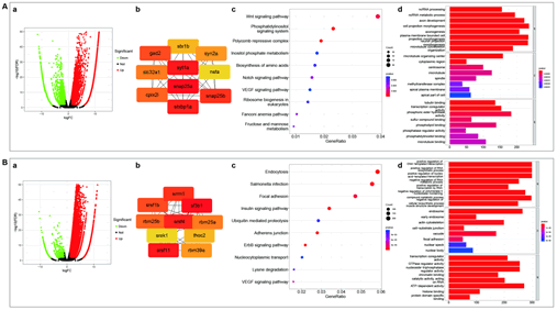 Biochemistry-Molecular-Biology-Journal-RNA