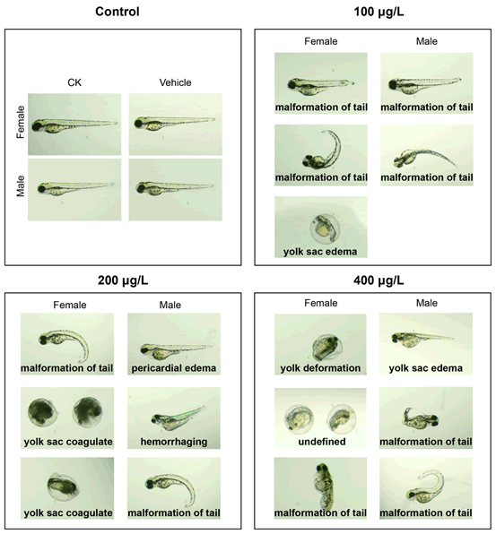 Biochemistry-Molecular-Biology-Journal-Types