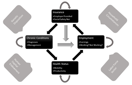 Diversity-Equality-Health-Care-Study