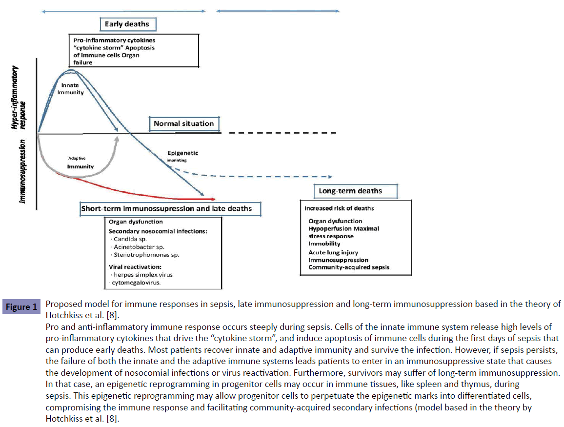 Clinical-Epigenetics-immune-responses