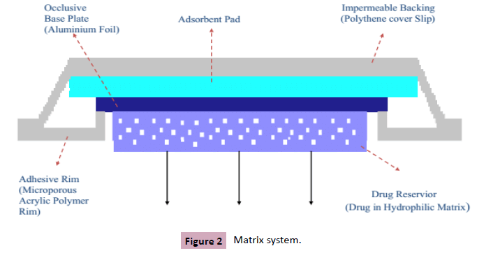 Drug-Abuse-Matrix