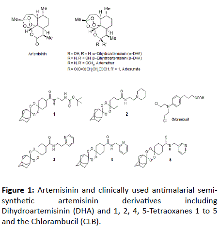 Experimental-Biology-Artemisinin