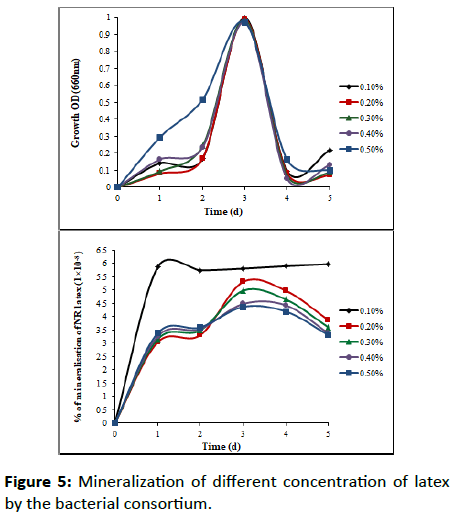 Experimental-Biology-Mineralization