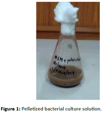 Experimental-Biology-Pelletized