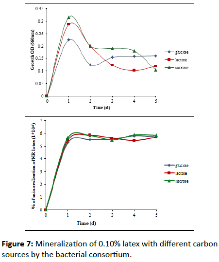 Experimental-Biology-bacterial