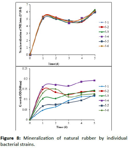 Experimental-Biology-natural-rubber