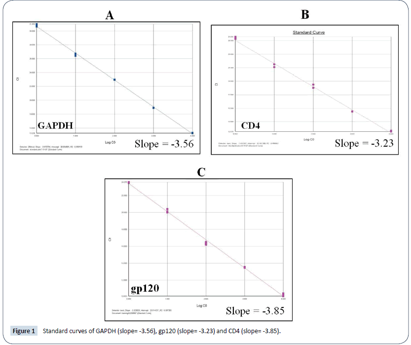 HIV-Retro-Virus-curves