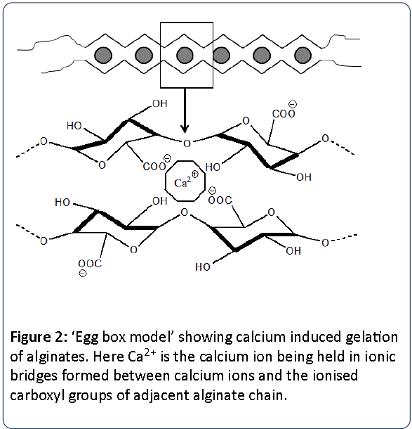 Heavy-Metal-Toxicity-Egg-box-model-showing-calcium-induced-gelation