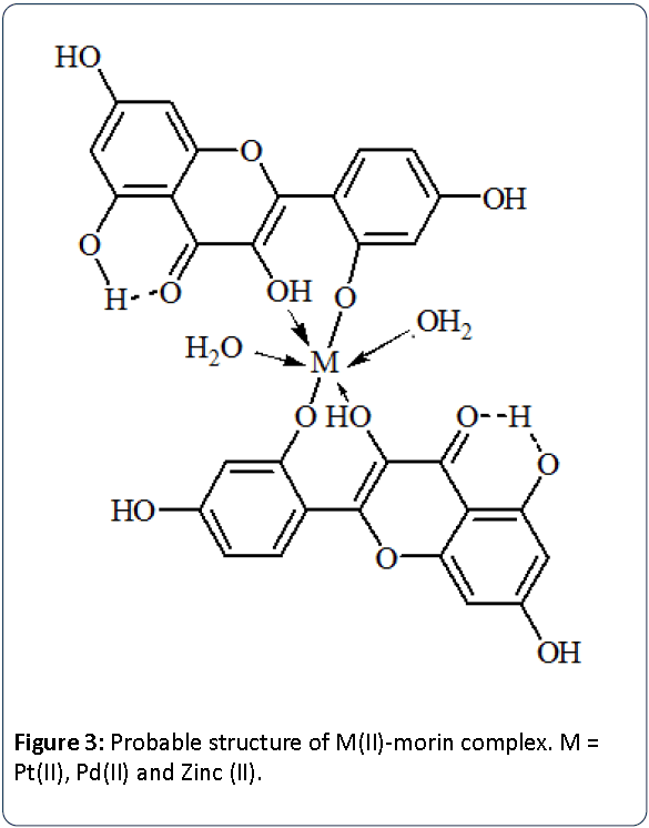 Heavy-Metal-Toxicity-Probable-structure-M(II)-morin-complex