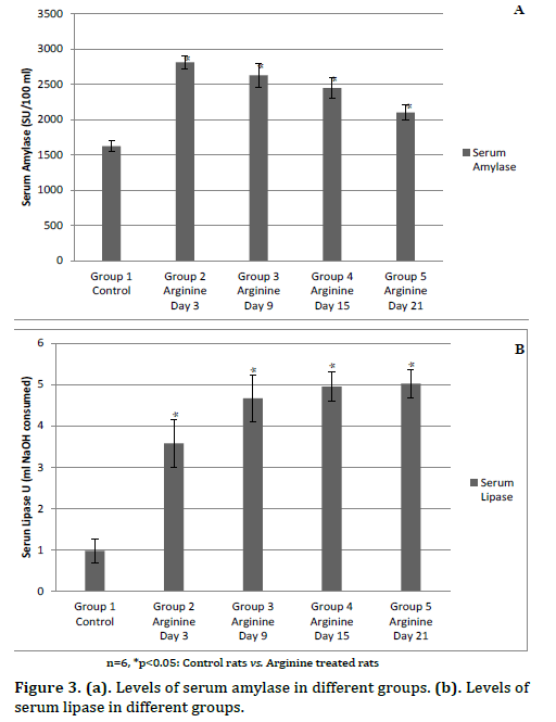 Pancreas-levels-serum-amylase