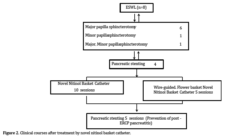 Pancreas-novel-nitinol-basket-catheter