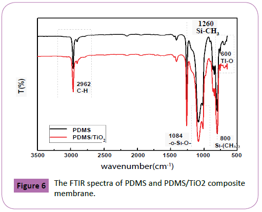 Polymer-Sceiences-FTIR-spectra