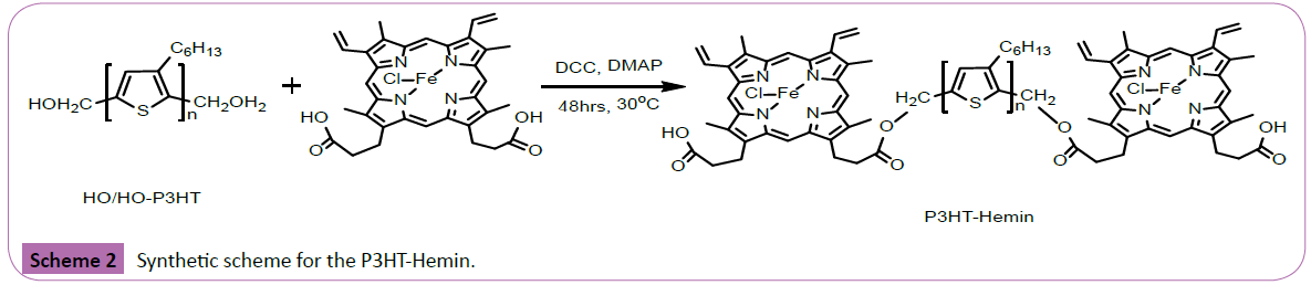 Polymer-Sceiences-P3HT-Hemin