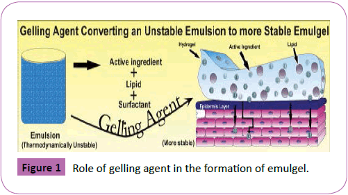 Polymer-Sceiences-Role-gelling