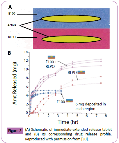 Polymer-Sceiences-Schematic-of